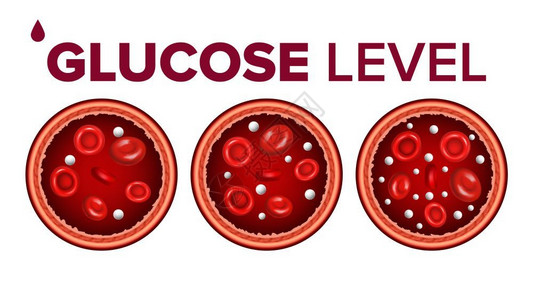 低升糖生物学血液和红细胞矢量设计元素插画