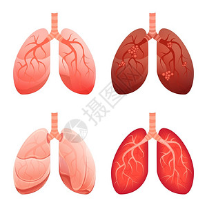 肺部图标集用于网络设计的肺矢量图标卡通集肺部图标卡通风格背景图片