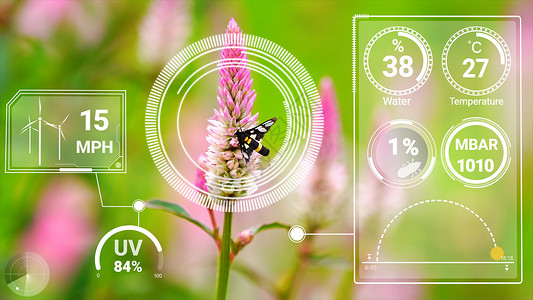 花和昆虫通过未来感应器数据收集管理通过人工智能控制作物生长和收获的质量计算机帮助种植概念设计图片