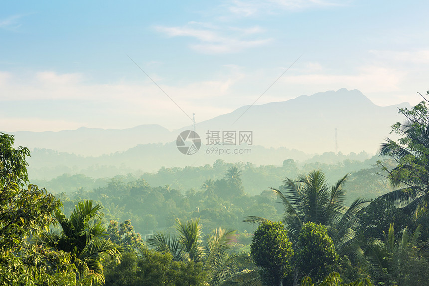 绿色的青山雨林锡兰斯里卡的风景图片