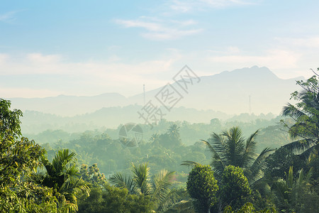 绿色的青山雨林锡兰斯里卡的风景背景图片