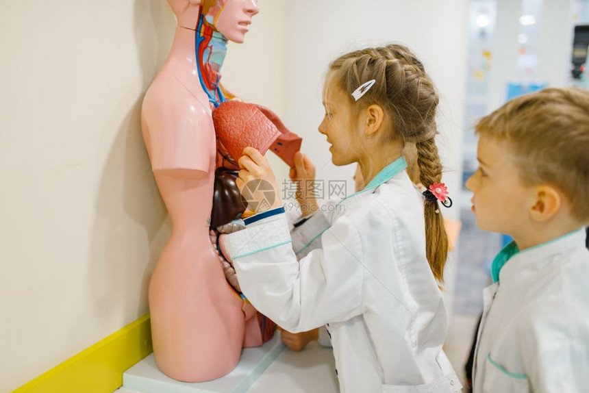 儿童在模拟医务室内假体上专业学习图片