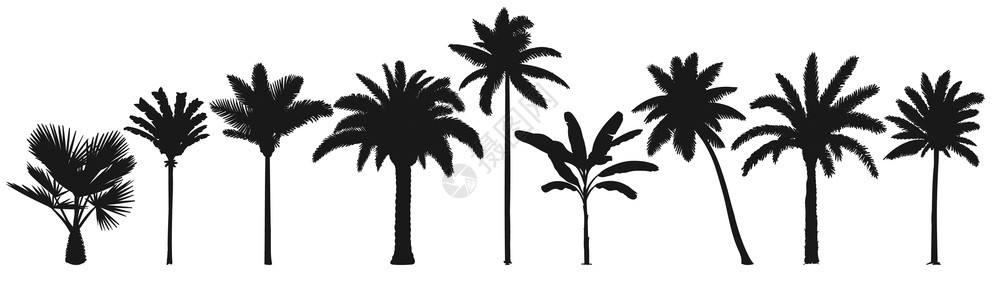 夏威夷风自拍棕榈树热带植物椰子剪影插画