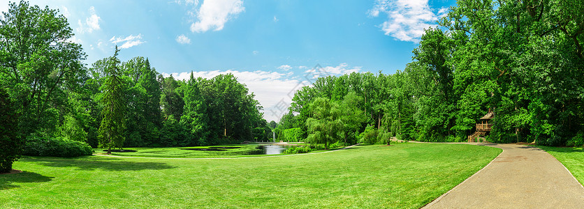 春天公园里的绿色景观图片