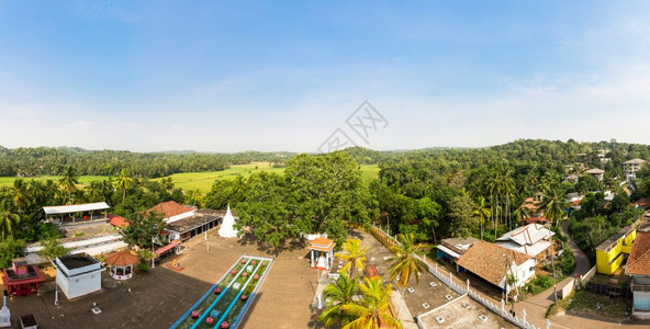 热带森林村庄背景图片