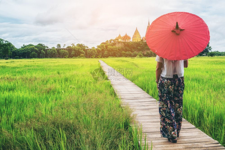 女旅行者在亚洲稻田中旅行春节时背包休假图片