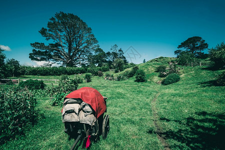 夏季农村风景植物园美丽的旧农地和业图片