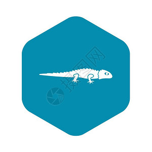 爬行动物鬣蜥以简单样式的孤立矢量图解蜥蜴标爬行动物符号蜥蜴图标简单样式插画