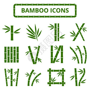 直邮竹茎和叶质矢量图标白底的亚丁植物带叶子的竹棍曲线框图画木和叶质矢量图标白底的亚丁插画