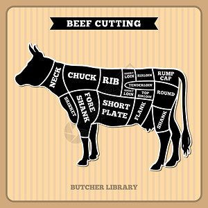 牛里脊肉牛肉切割矢量图插画