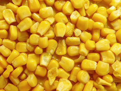 玉米粒背景图片