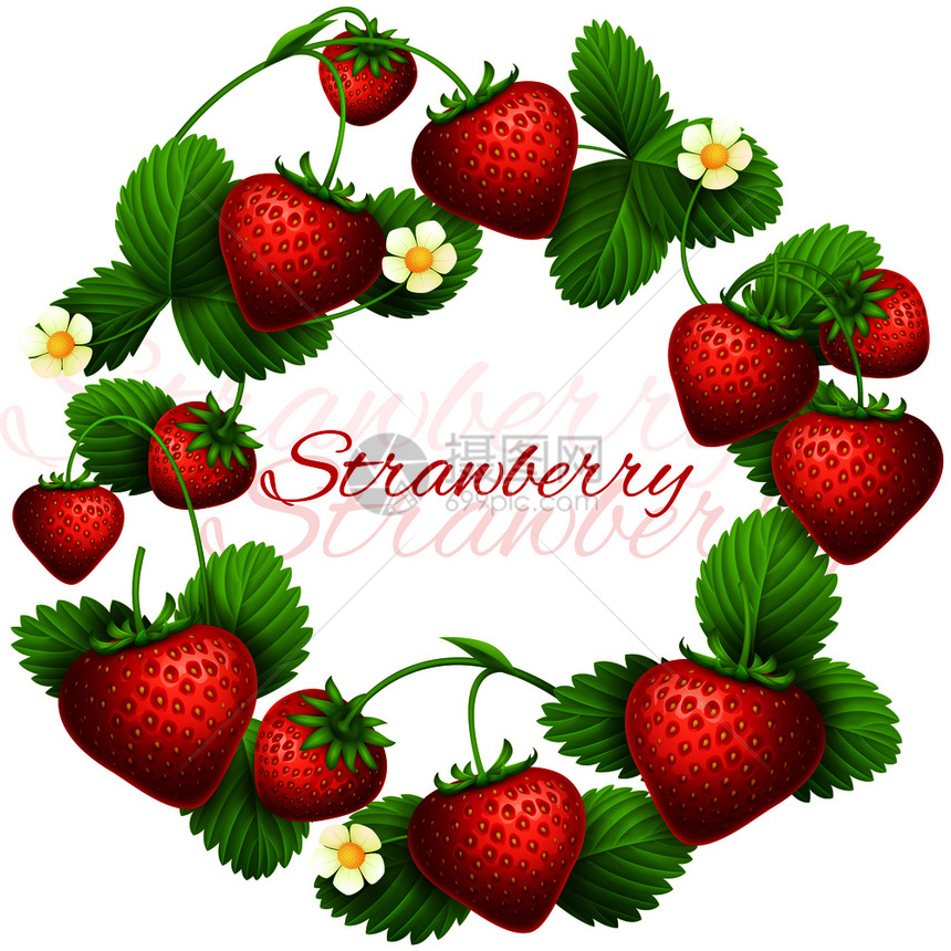 果红色草莓鲜花成熟水果插图多汁的草莓病媒框架花圈健康甜点吃草莓背景图片
