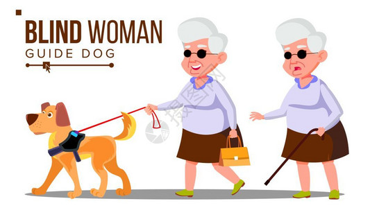 带深色眼镜手杖和导盲狗的老妇女图片