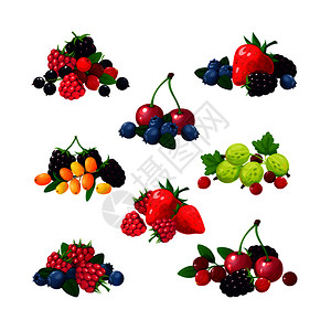 野生黑莓卡通浆果草莓樱桃蓝黑果胡萝卜矢量元素插画