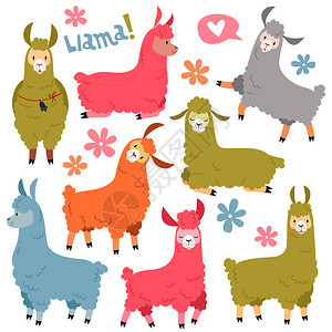 瓜拿纳可爱的羊驼插画