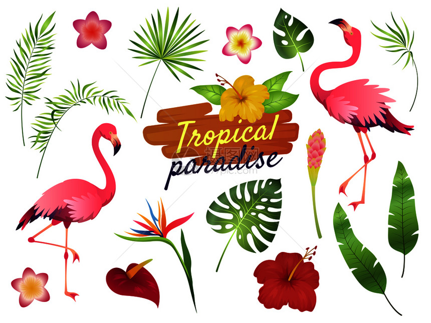 热带火烈鸟与植物矢量元素图片
