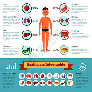 身体数据人类不同器官的保健信息成份病媒图解人体器官的医药横幅病媒图解插画