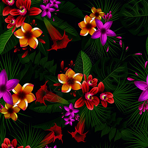 兰花园植物和彩色花朵的植物热带模式有色天然花朵的园有色热带卉的园有色卉热带植物花叶和树枝背景矢量图设计图片