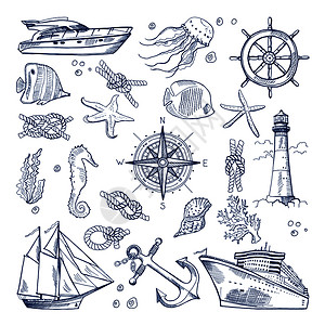 灯塔和马手绘海洋元素轮船帆船海马水木船锚插画