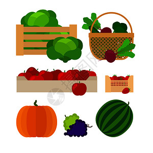 蔬菜和水果农场篮子图片