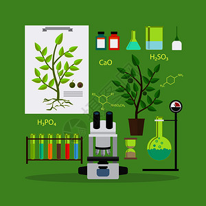植物基因生物学研究实验室设备图标矢量说明生物学研究设备插画