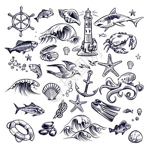 灯塔和马海洋航程鲨鱼蟹章海星结壳蟹船锚元素插画