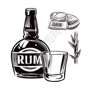 麦卡伦威士忌朗姆草图酒杯和瓶式手画插图朗姆酒杯和瓶式手画矢量插图插画