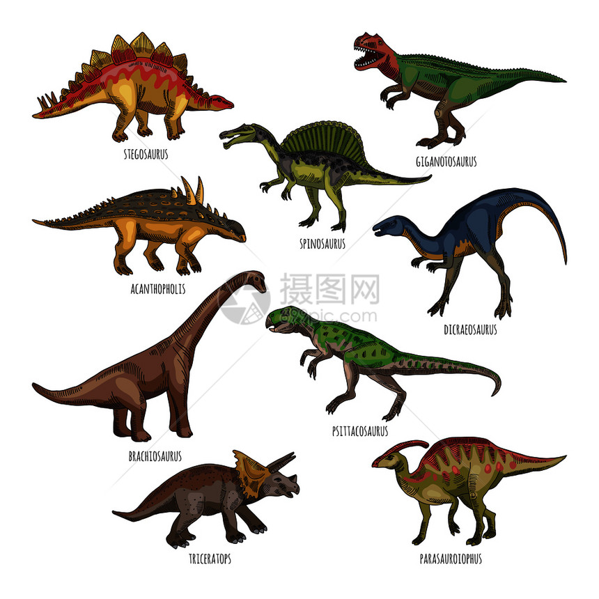 不同类型恐龙图片