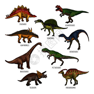 古代双龙玉不同类型恐龙插画