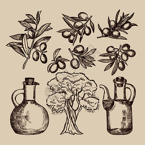 茁壮的橄榄树装瓶橄榄油树和其他手摘食物橄榄树和油瓶有机物矢量说明插画
