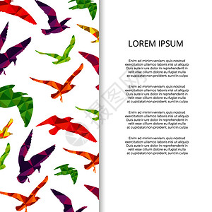 彩色动物鸟类海报设计图片