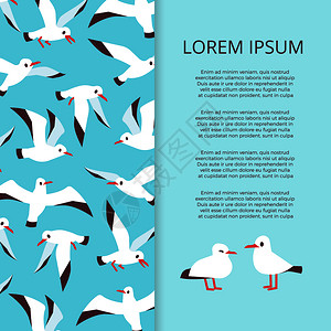 淡水鸟鸟类插图设计海报插画