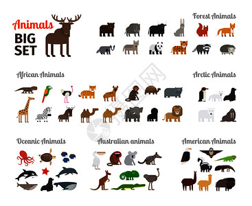 不同大陆的森林动物矢量板动物图片
