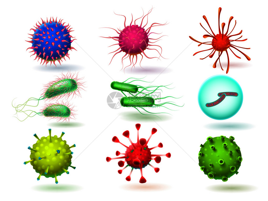 细菌微生物和寄虫疾生物学微病媒图解分离微生物3D细菌和寄生虫b图片