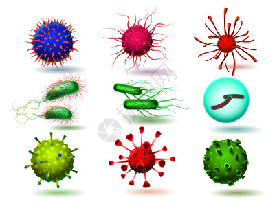 细菌微生物和寄虫疾生物学微病媒图解分离微生物3D细菌和寄生虫b背景图片