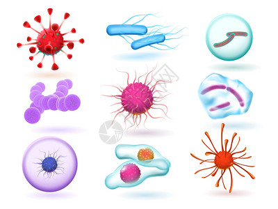 杰博拉现实的三维微生物细菌各种自然微生物和流感科学细胞隔离媒集自然微生物和孤立媒集插画