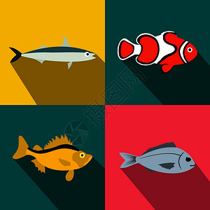 盐形动物扁平鱼类图标插画