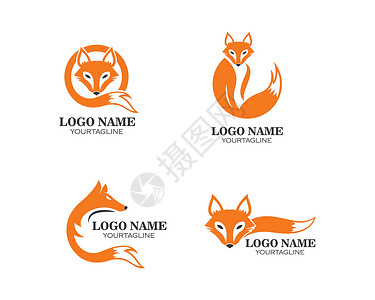 狐徽标图矢量模板设计背景图片
