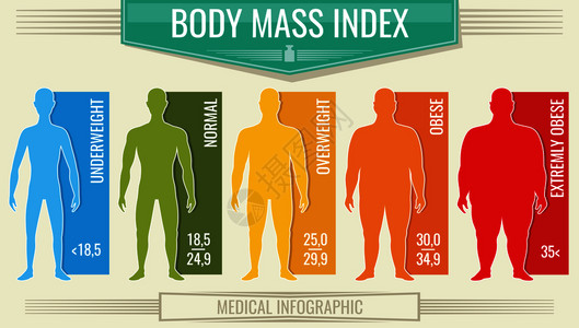 身体签名体重指数人病媒身体健康指数bmi图表带有男轮长和比例插画