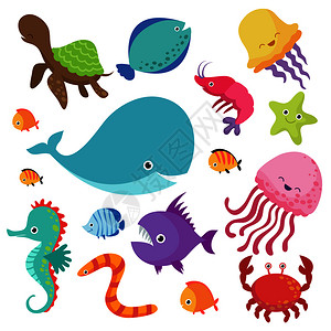 鲸鱼和乌龟鱼类和海洋动物插画