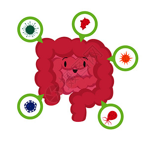 肠扭转综合征消化肠道和微生物卡通矢量插画插画