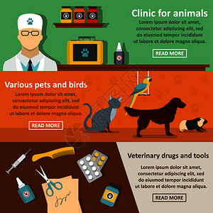 3个兽医诊所护理病媒横幅概念用于网络兽医诊所护理横平板风格图片