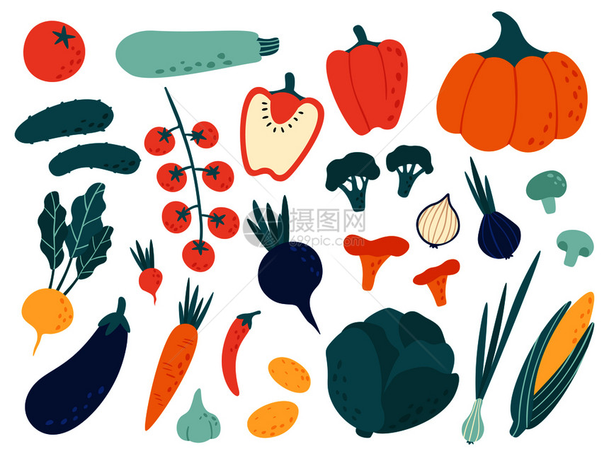 蔬菜营养涂鸦有机素食和蔬菜涂鸦美味的有机素食蔬菜病媒插图孤立符号手工画蔬菜营养涂鸦有机素食和蔬菜涂鸦矢量插图图片