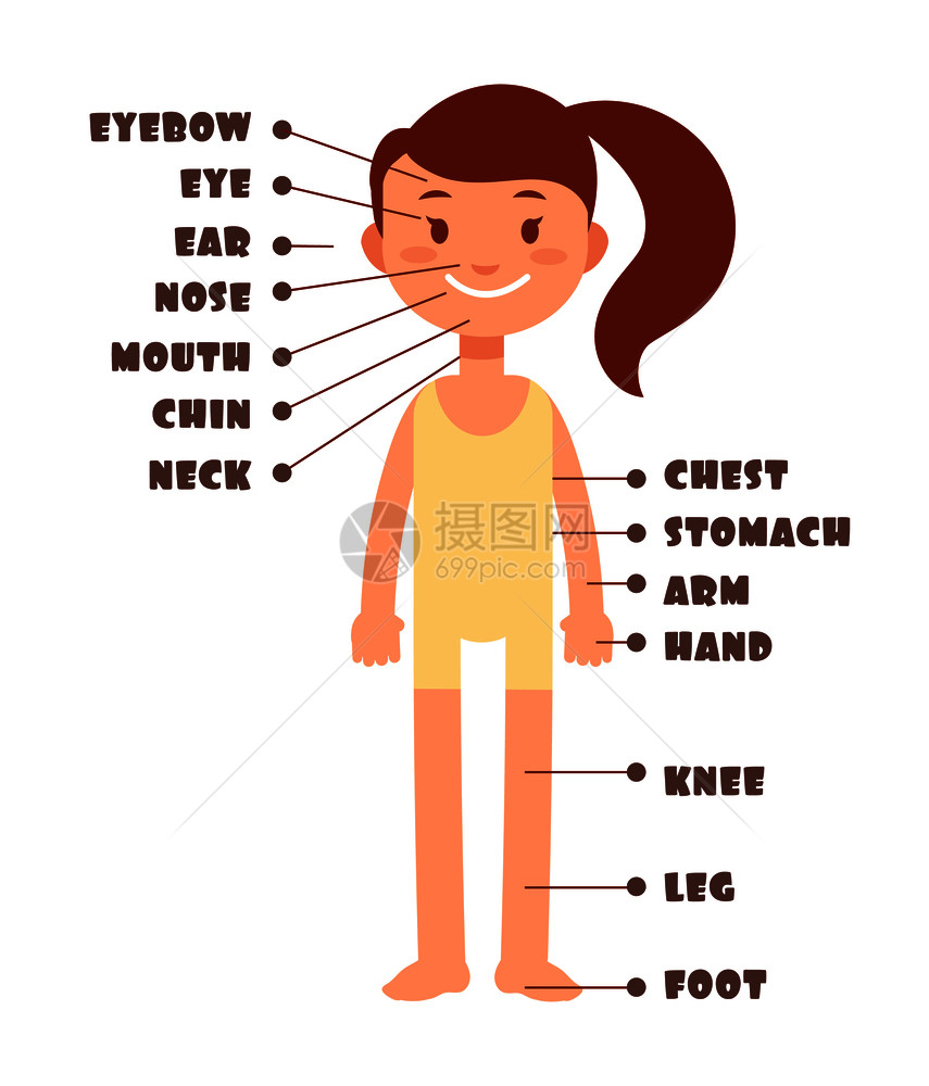 卡通小女孩身体名称词汇表图片