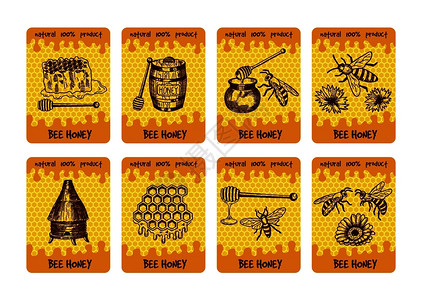 唇蜜海报蜂蜜和的插图和贴标语的甜食蜂蜜产品包装的标签设计蜂蜜和窝的插图蜜和窝的插图插画