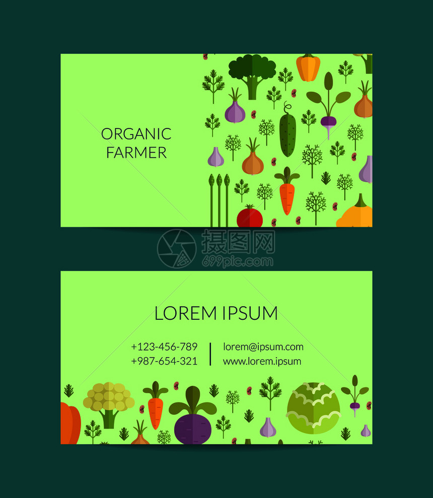 蔬菜水果和有机农场素食健康品商业卡模板海报的素食病媒平板蔬菜有机农场健康食品商业卡模板图片