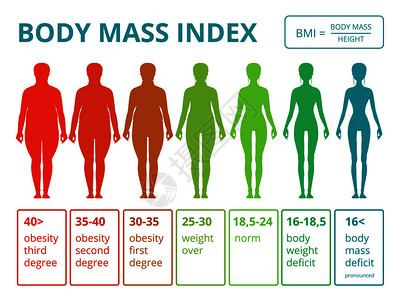层级分布图从脂肪到身体健康妇女的重指数妇女病媒质量医疗人口分布图包括女身体质量指数的插图从脂肪到身体健康妇女的比例插画