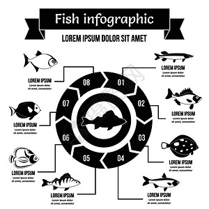 普普基湖鱼类信息图集横幅概念为网络简单说明鱼类信息图矢量海报概念鱼类信息图概念简单风格插画