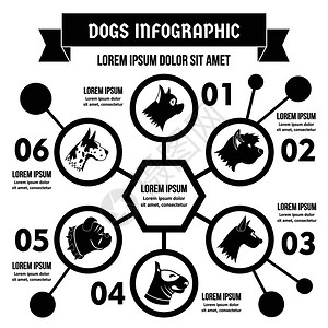 简单地举例说明狗种的传动矢量海报概念供网络使用狗种的传动概念简单风格图片