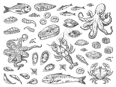 雕刻品章鱼鱿蟹牡蛎和海洋鱼草图作为餐厅菜单矢量海餐雕刻手工提取海产食品矢量餐插画